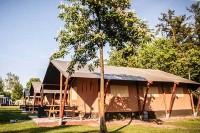 Unterkunft mieten auf Camping De Achterste Hoef in Nordbrabant Holland