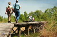 Nationalpark de Groote Peel in Holland