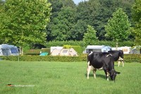 Campingplatz im Natur Niederlande