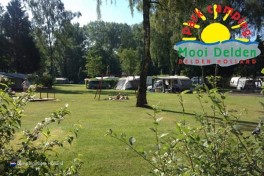 Park Campingplatz Mooi Delden