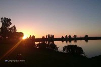 Oostvaardersplassen Holland Niederlande